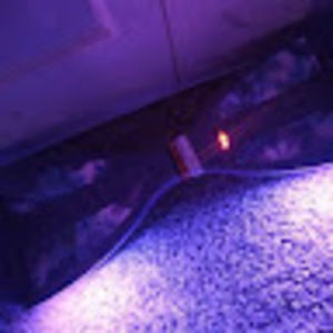 Meet your Posher, Katelyn